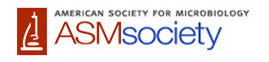 American Society for Microbiology