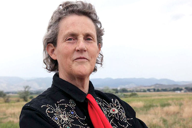 imagePlace Temple Grandin