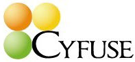 Cyfuse Biomedical KK