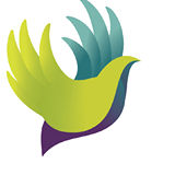 Community Care Alliance of Illinois NFP