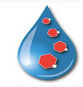 Glucovation, Inc.