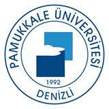 Pamukkale University