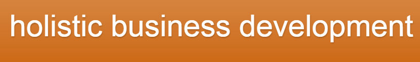 holistic business development