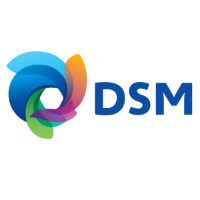 DSM BV