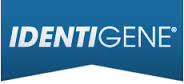 IDENTIGENE LLC