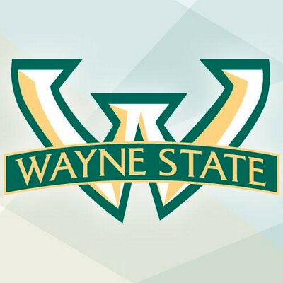 Wayne State University Foundation