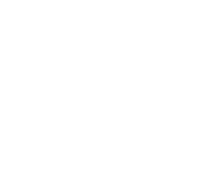 Palmetto Addiction Recovery Center, Inc.