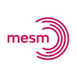 MESM Ltd.