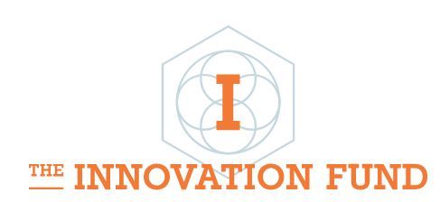 The Innovation Fund sa/nv