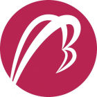 Betatron Venture Group Logo