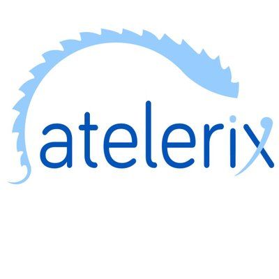 Atelerix Ltd.