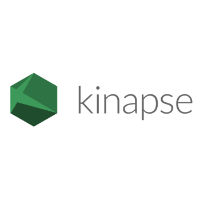 Kinapse Ltd.