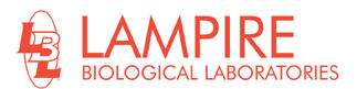 Lampire Biological Labs, Inc.