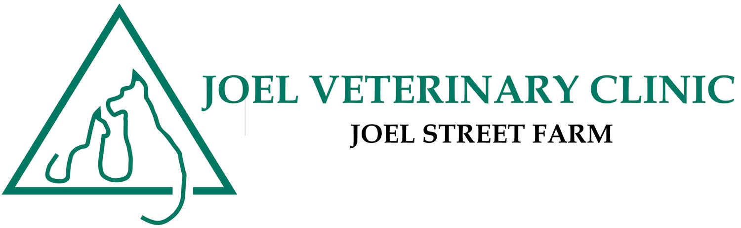 Joel Veterinary Clinic