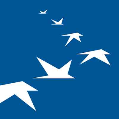 Veltigroup