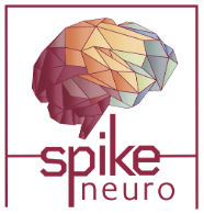 Spike Neuro LLC