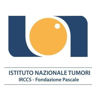 Istituto Nazionale Tumori