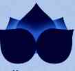 Cascade Oral Medicine Inc.