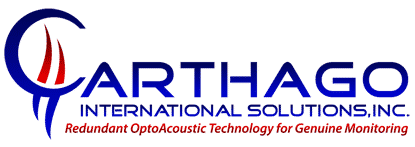 Carthago Int'l Solutions