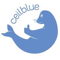 Ceilblue LLC