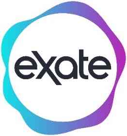 Visely  logo
