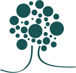 Care Options Management Plans & Supportive Services LLC