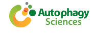 Autophagy Science Co. Ltd.