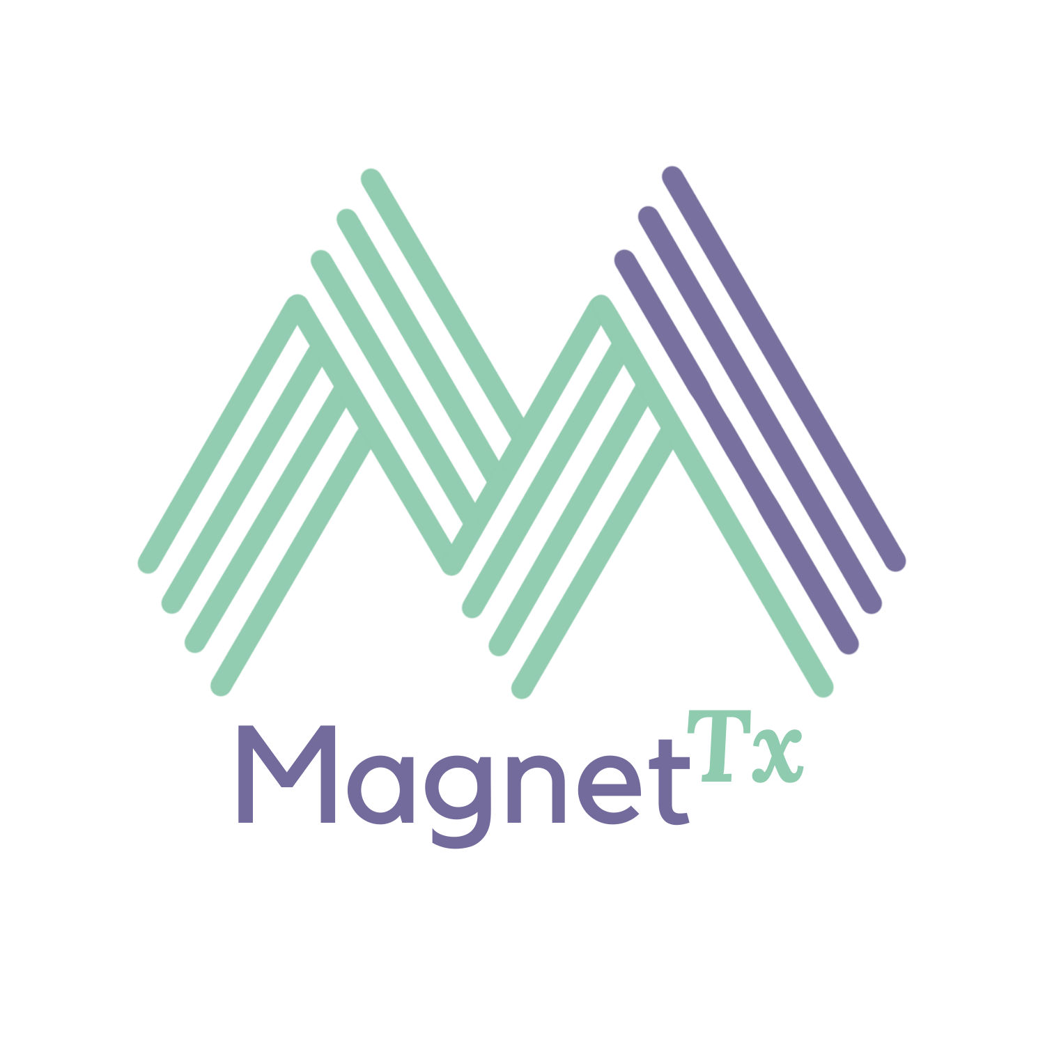 MagnetTx Oncology Solutions Ltd.