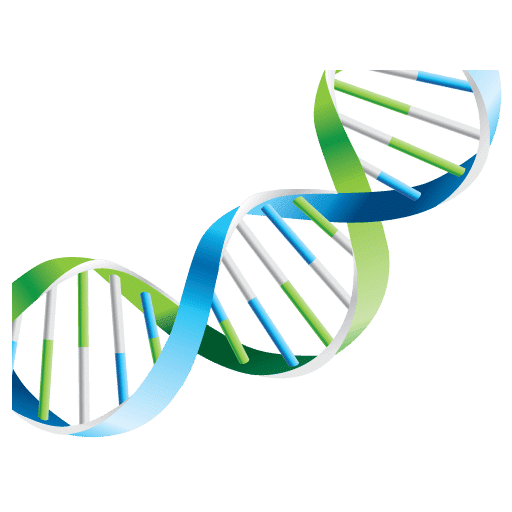 Celnova Pharma