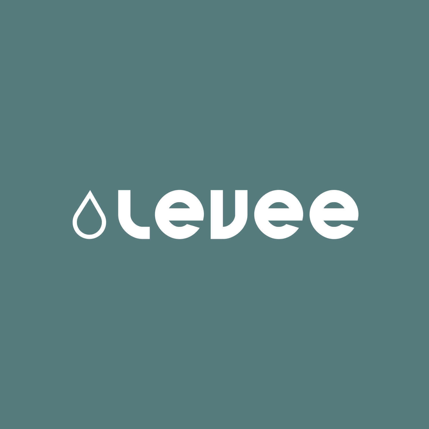 Levee