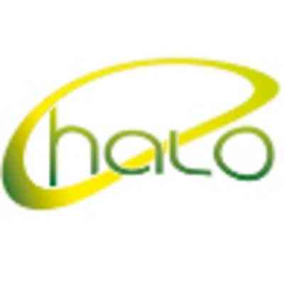 Halo Insurance Services
