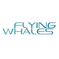 Flying Whales