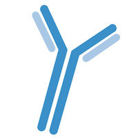 Oncomatryx Biopharma SL