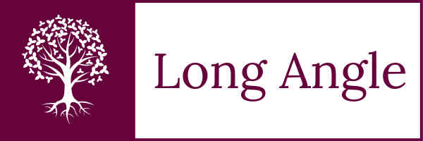 Long Angle logo