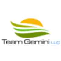 Team Gemini