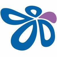 Pinnacle Incorporated