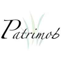 Patrimob SA