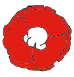 Poppy Handcrafted Popcorn, Inc.
