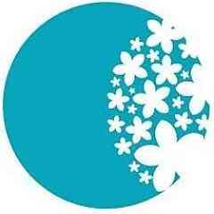 CUTIS SKIN SOLUTION LLP