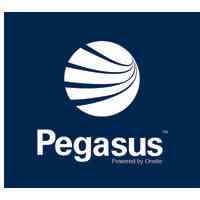 Pegasus Management