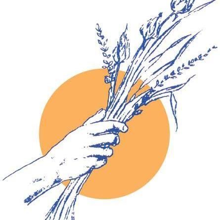 Summerfield Chiropractic