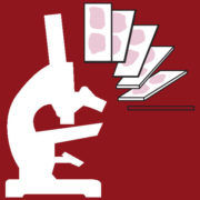 Bio-Path Medical Group