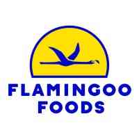 Flamingoo Foods logo
