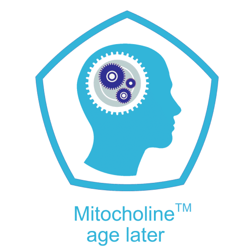 Mitocholine Ltd.
