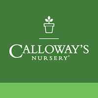 Calloway's Nursery