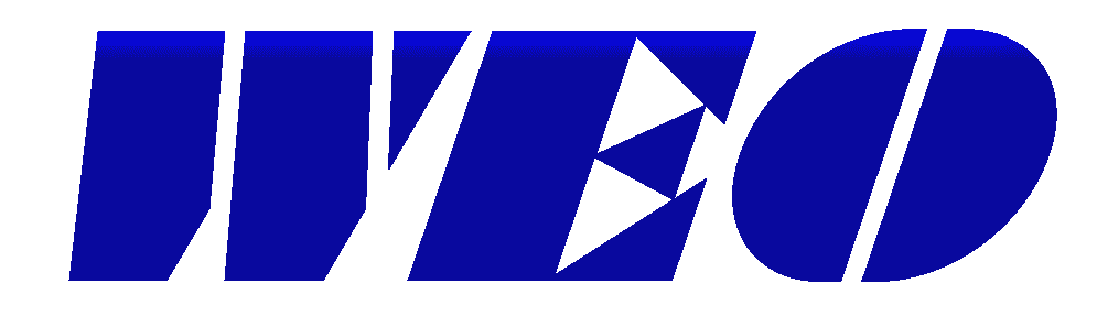 Wang Electro-Opto