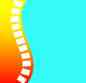 Neck & Back Pain Institute, Inc.