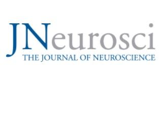 Jneurosci