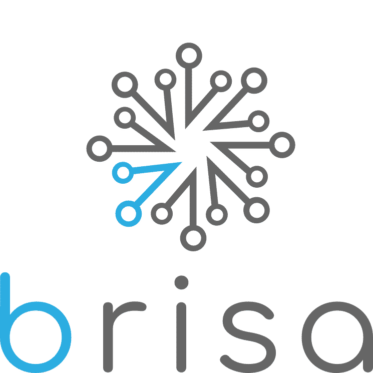 Brisa Robotica logo