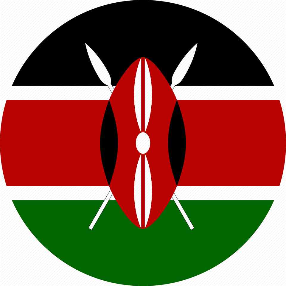 Cyber.co.ke logo
